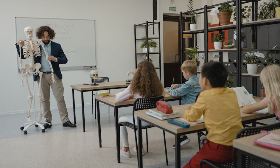 Teacher explaining biology with skeleton model to attentive students in classroom
